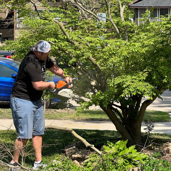 iSpace-Environments-iMPACT-Spring-Clean-Up-with-Senior-Services-2023-Dustin-Tree-Trimming