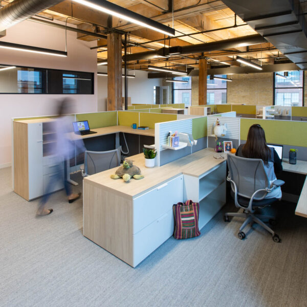 iSpace-Environments-JellyCat-3