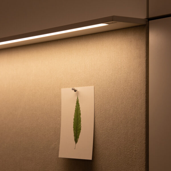 DesignDays24-Teknion-MedRes-3327