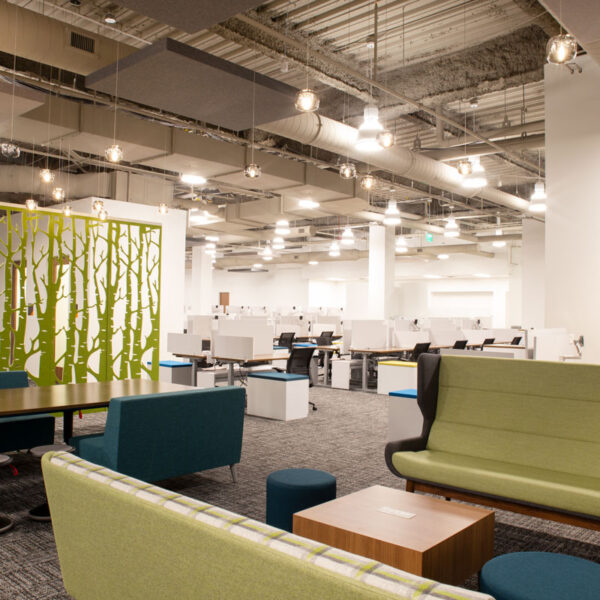 Open office layout with green privacy screen, collaborative lounge furniture, and height-adjustable workstations designed for flexible work at the YMCA corporate space